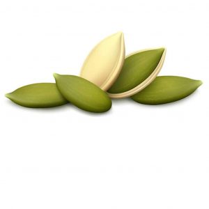 Seeds